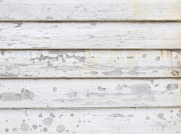 Same-Day Junk Removal Services in Savannah, TX